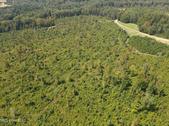 $1,299,000 | Phares Lane, Roxie, MS 39661