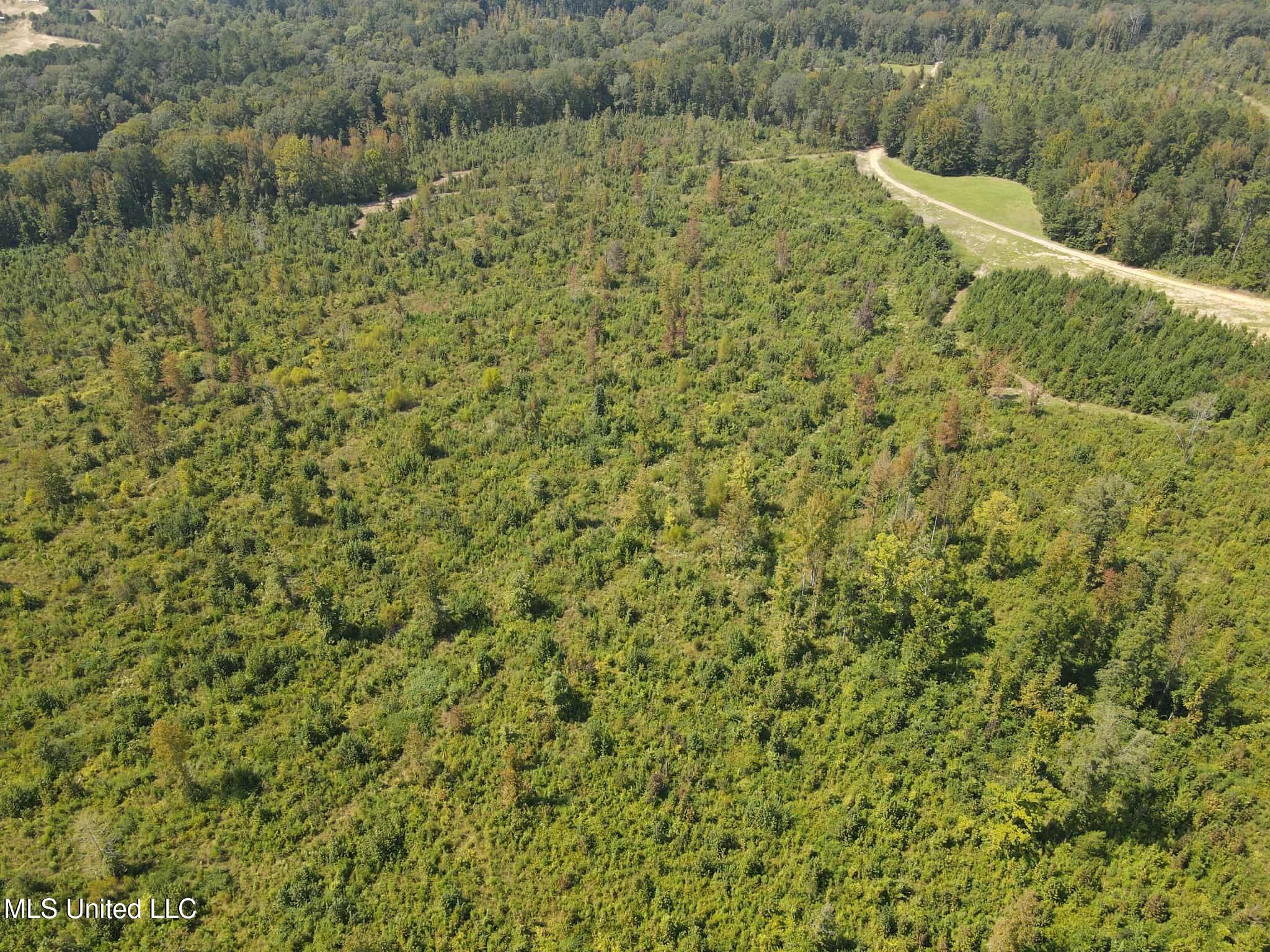 Phares Lane Roxie, MS 39661 - Photo 28 of 173 762fd817-3e56-4c94-b21a-42cdc47230cf