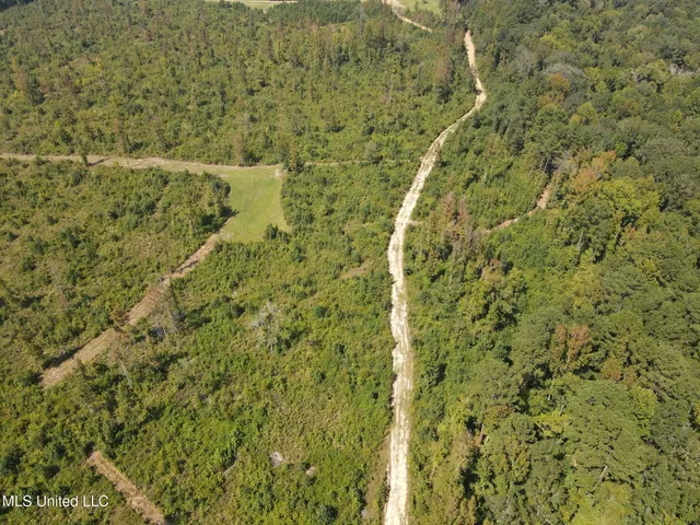 $1,299,000 | Phares Lane, Roxie, MS 39661