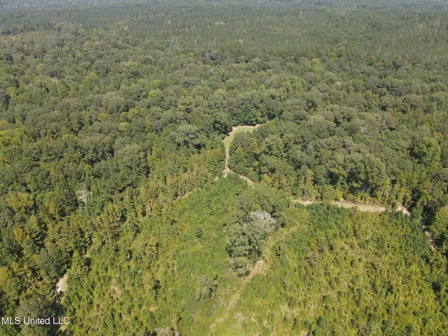 $1,299,000 | Phares Lane, Roxie, MS 39661