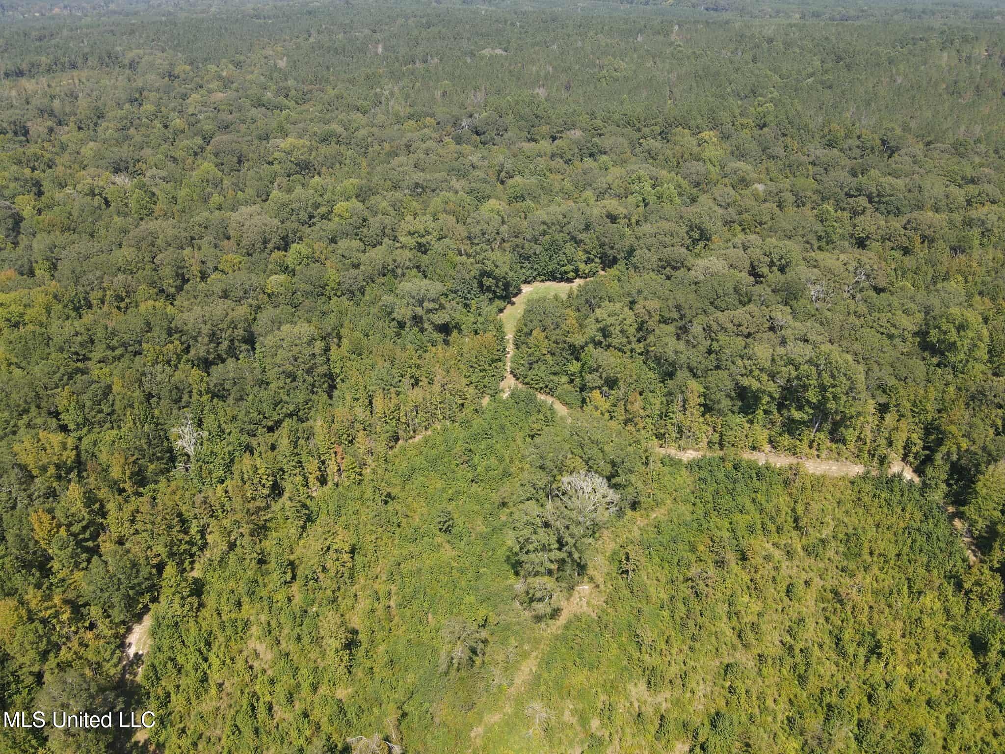 Phares Lane Roxie, MS 39661 - Photo 30 of 173 938e68ba-80a2-4e52-ac6c-4861cb3ef00d