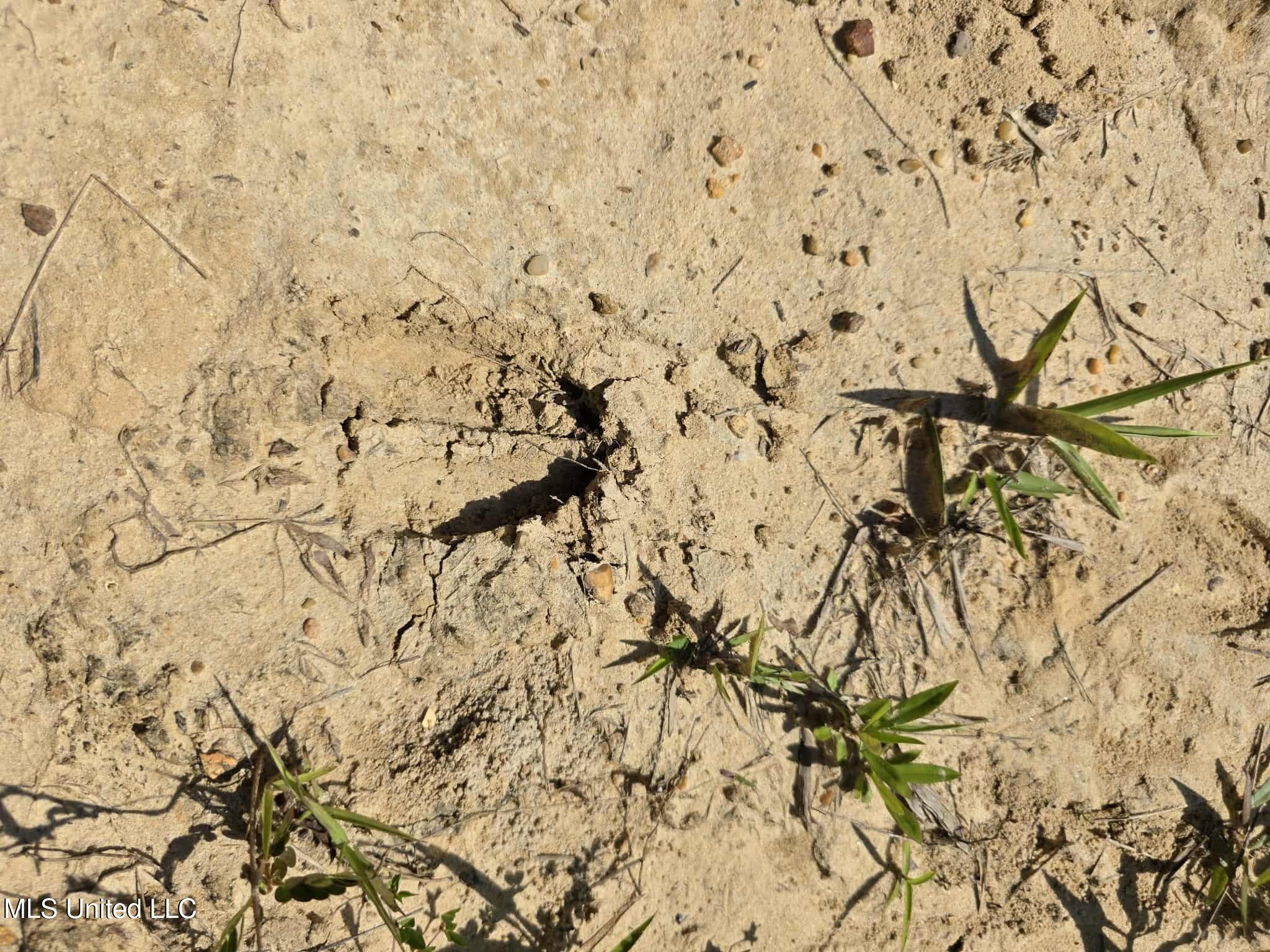 Phares Lane Roxie, MS 39661 - Photo 31 of 173 990c1ef8-2915-4f62-b3e2-1eb33ba3c213