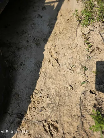 $1,299,000 | Phares Lane, Roxie, MS 39661