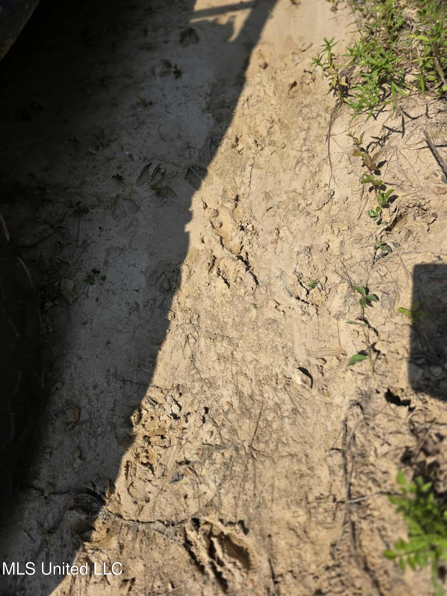 Phares Lane Roxie, MS 39661 - Photo 32 of 173 2349a507-a9d9-4c03-9835-3a5327903a23