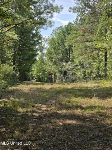 $1,299,000 | Phares Lane, Roxie, MS 39661