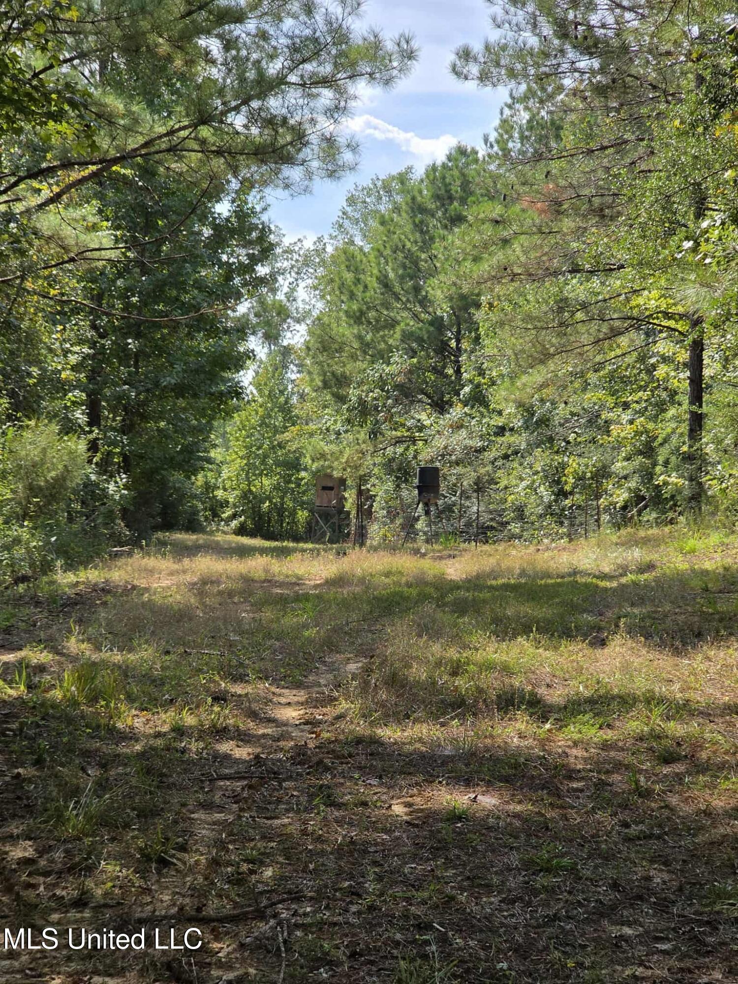 Phares Lane Roxie, MS 39661 - Photo 34 of 173 5813d340-daca-4c5b-b9f6-059d3b1b1898