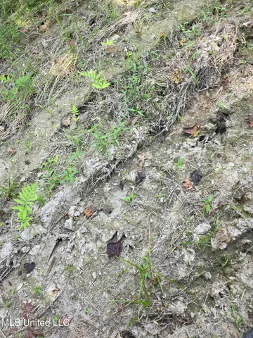 $1,299,000 | Phares Lane, Roxie, MS 39661