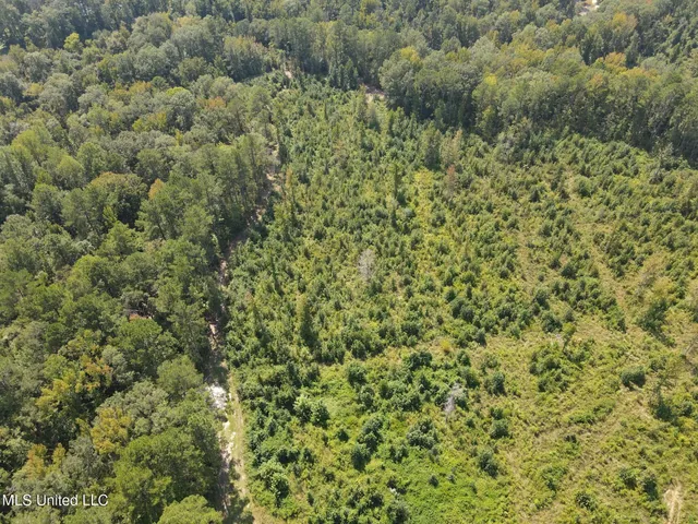 $1,299,000 | Phares Lane, Roxie, MS 39661