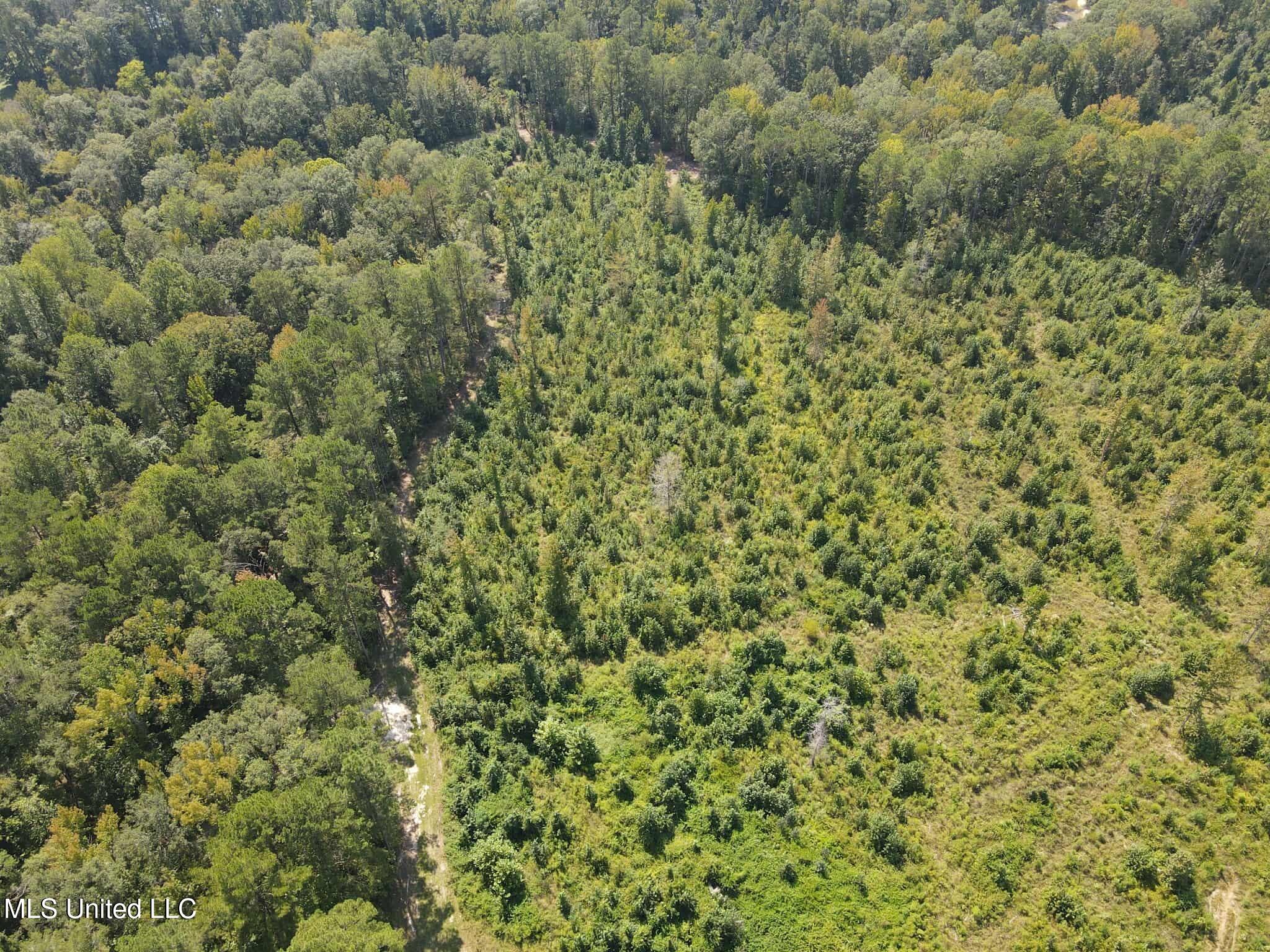 Phares Lane Roxie, MS 39661 - Photo 36 of 173 9470f44e-eb49-453d-ab69-06263099a683