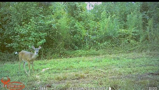 $1,299,000 | Phares Lane, Roxie, MS 39661