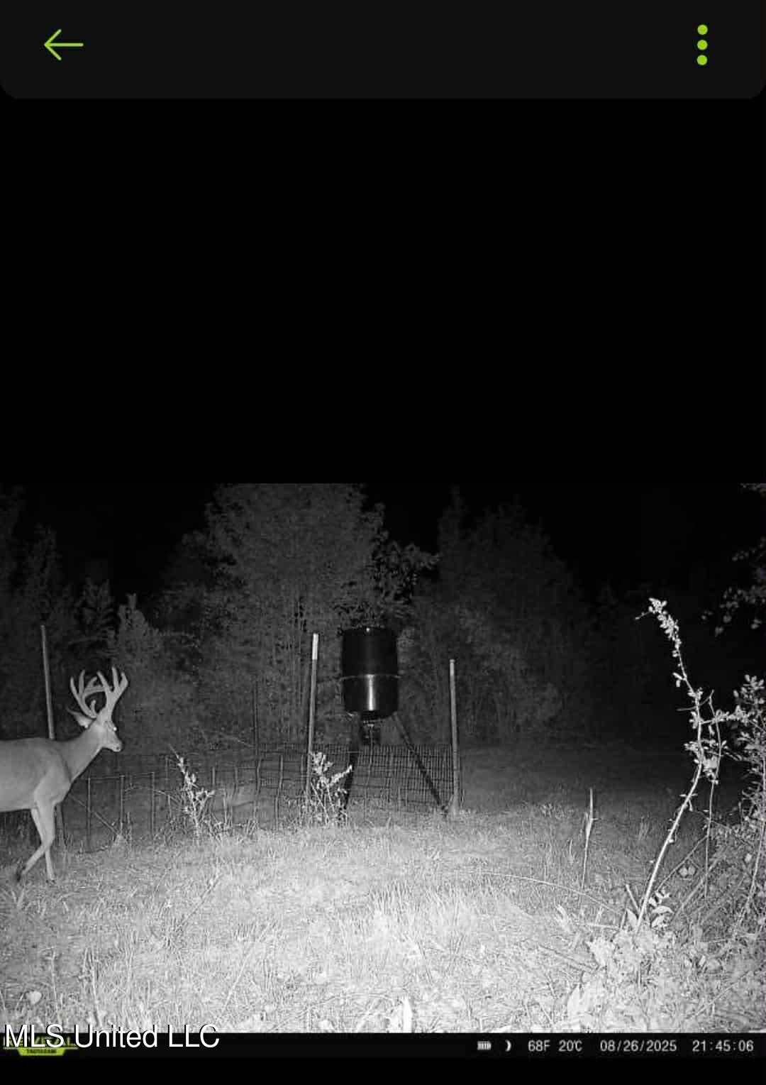 Phares Lane Roxie, MS 39661 - Photo 38 of 173 33142