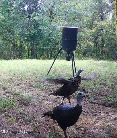 $1,299,000 | Phares Lane, Roxie, MS 39661