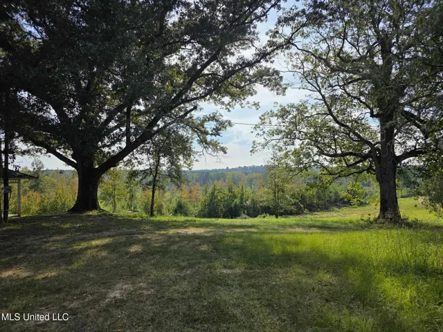 $1,299,000 | Phares Lane, Roxie, MS 39661