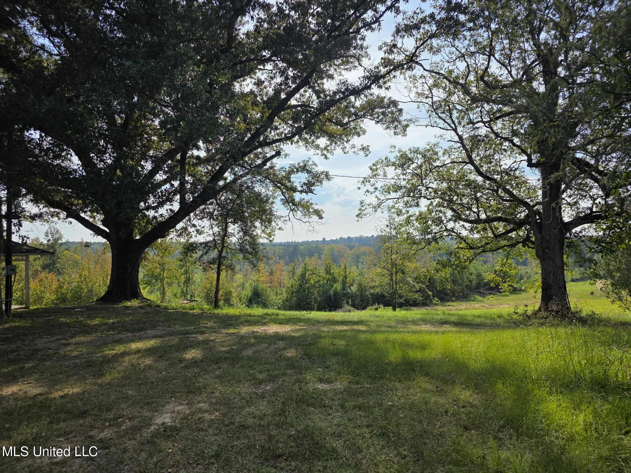 Phares Lane Roxie, MS 39661 - Photo 4 of 173 2e8d6d9d-e7ef-4445-974e-8a7ec01bcbff