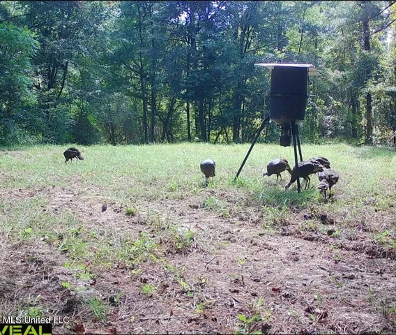 $1,299,000 | Phares Lane, Roxie, MS 39661