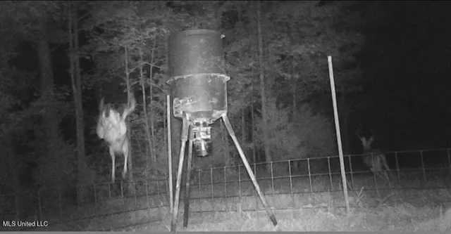 $1,299,000 | Phares Lane, Roxie, MS 39661