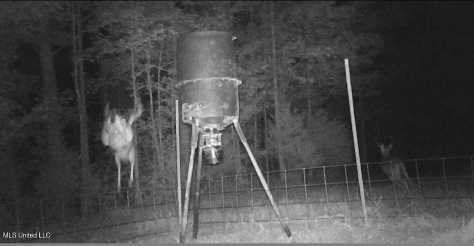 Phares Lane Roxie, MS 39661 - Photo 42 of 173 33231