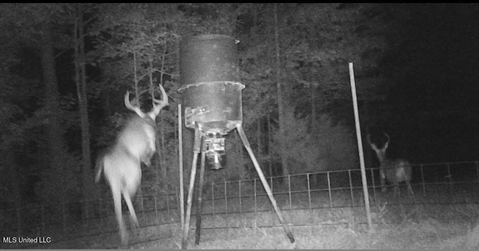 Phares Lane Roxie, MS 39661 - Photo 43 of 173 33232