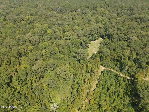 $1,299,000 | Phares Lane, Roxie, MS 39661