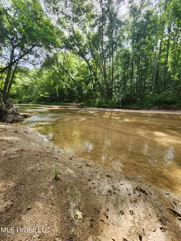 $1,299,000 | Phares Lane, Roxie, MS 39661
