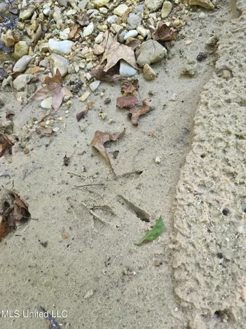 $1,299,000 | Phares Lane, Roxie, MS 39661