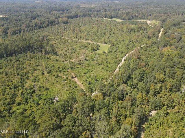 $1,299,000 | Phares Lane, Roxie, MS 39661