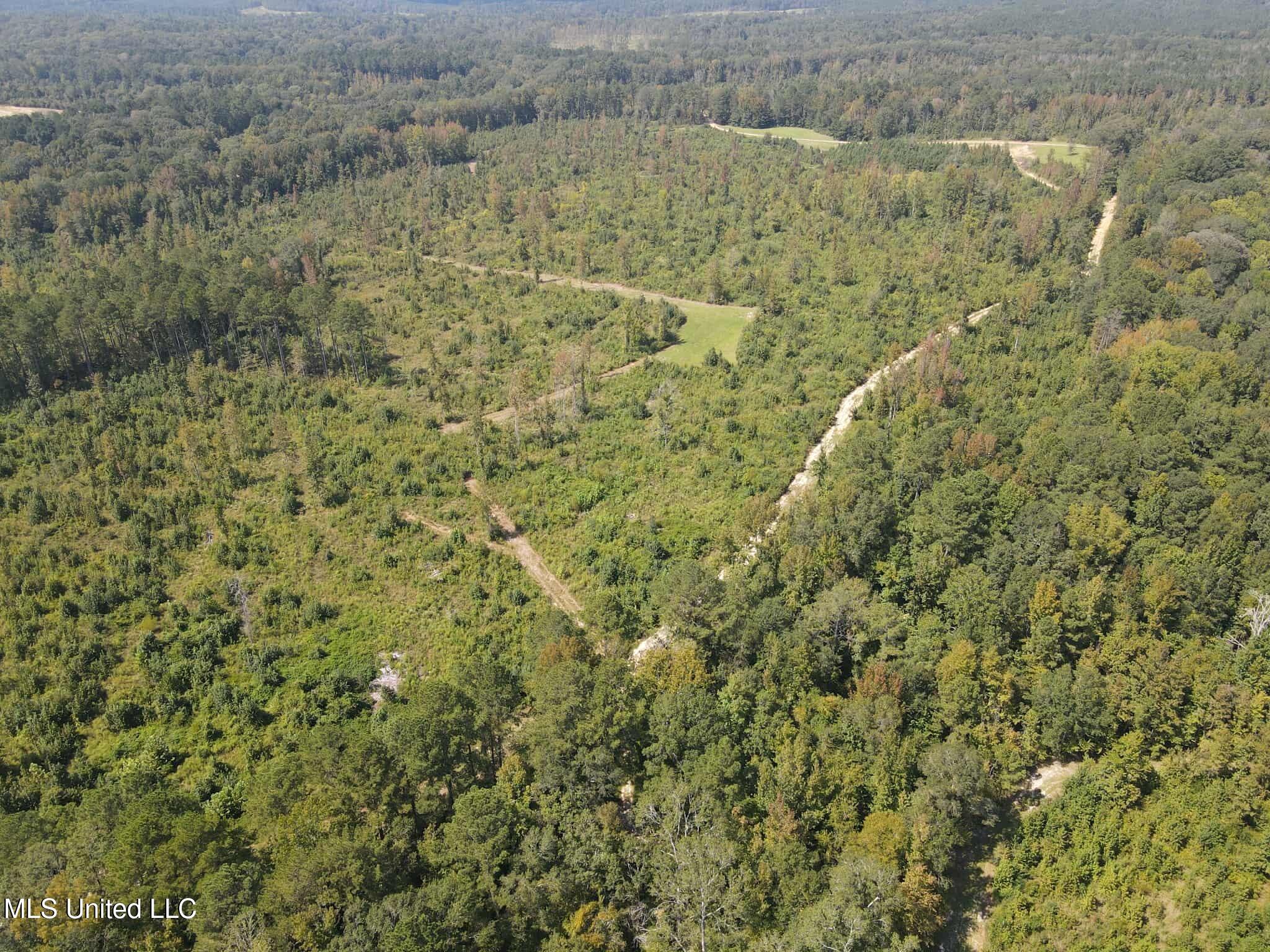 Phares Lane Roxie, MS 39661 - Photo 48 of 173 79846825-b618-4df9-8247-899bab13c3f1