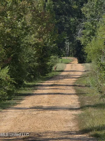 $1,299,000 | Phares Lane, Roxie, MS 39661