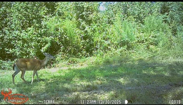 $1,299,000 | Phares Lane, Roxie, MS 39661