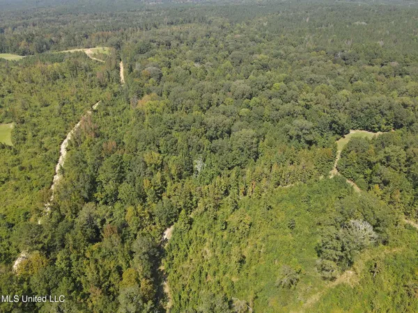 $1,299,000 | Phares Lane, Roxie, MS 39661