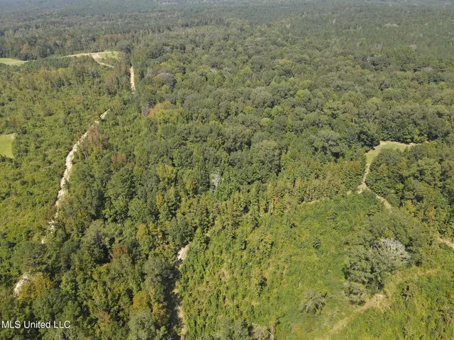 $1,299,000 | Phares Lane, Roxie, MS 39661