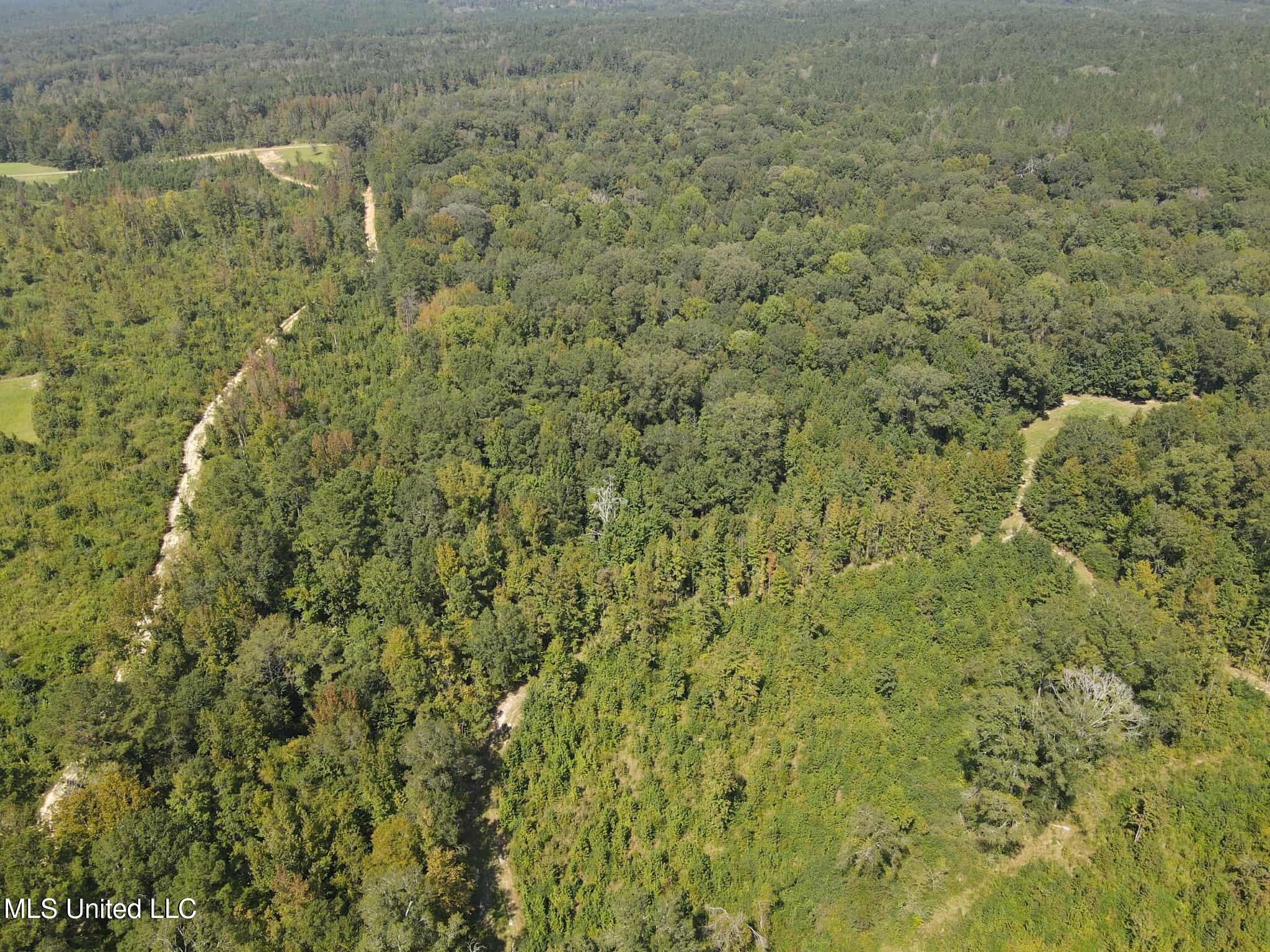 Phares Lane Roxie, MS 39661 - Photo 51 of 173 b5bcdc12-0925-4b21-8ede-45a9663de923