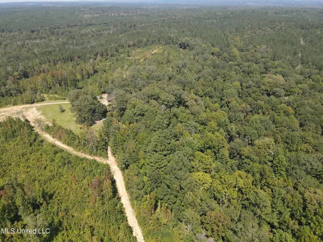 $1,299,000 | Phares Lane, Roxie, MS 39661