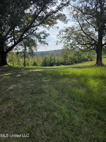 $1,299,000 | Phares Lane, Roxie, MS 39661