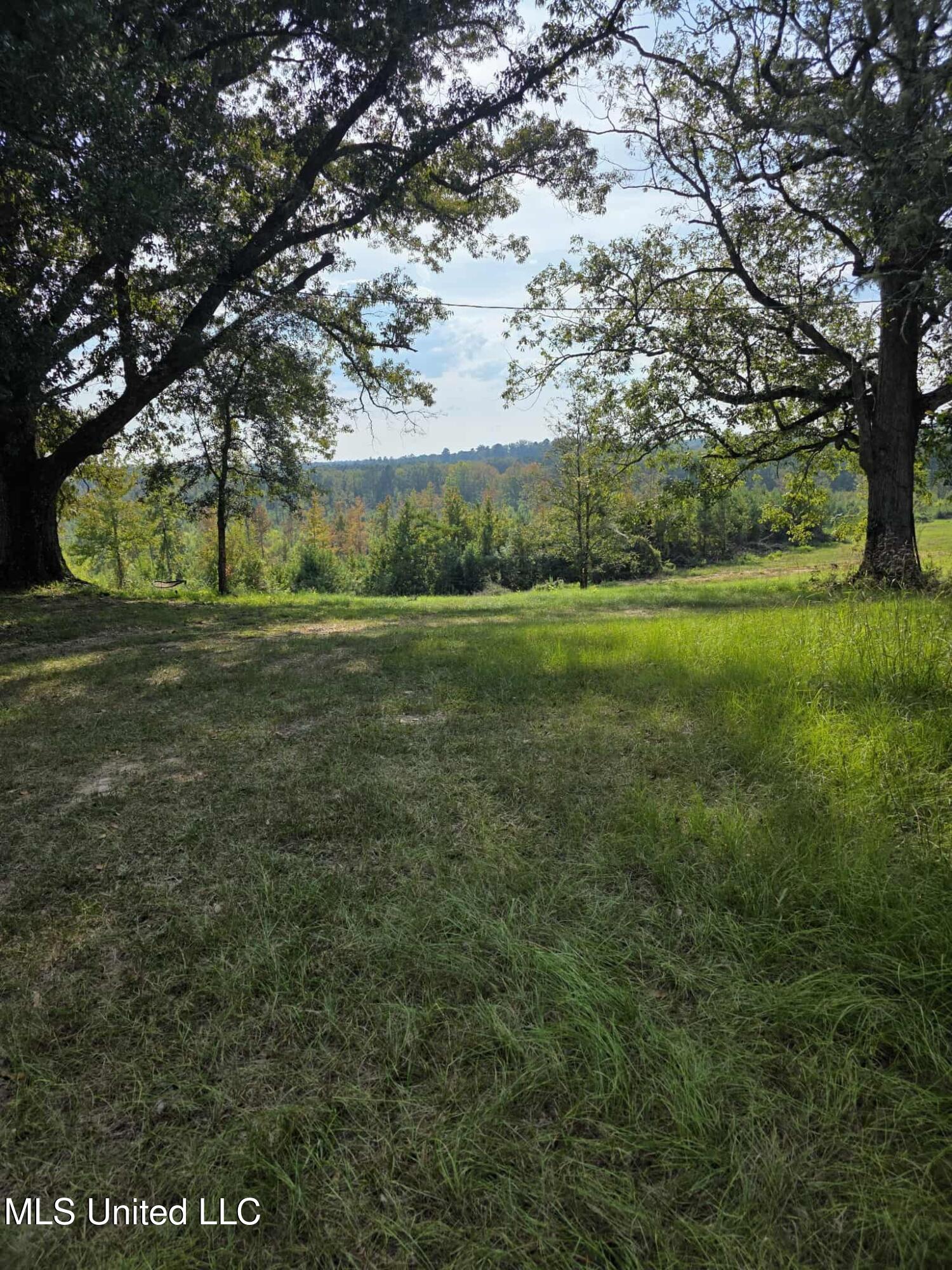 Phares Lane Roxie, MS 39661 - Photo 54 of 173 b9e97726-b91f-4bac-958d-ef2d6c659d20