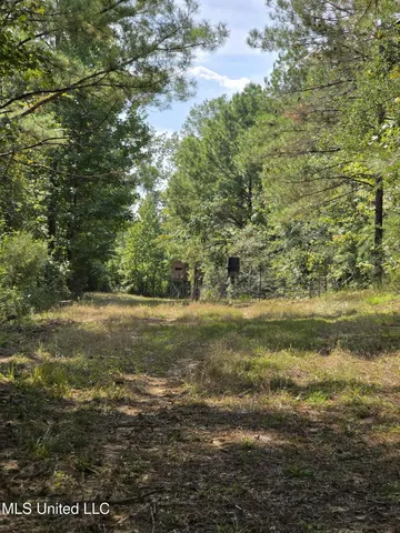 $1,299,000 | Phares Lane, Roxie, MS 39661