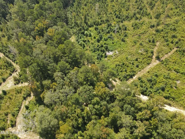 $1,299,000 | Phares Lane, Roxie, MS 39661