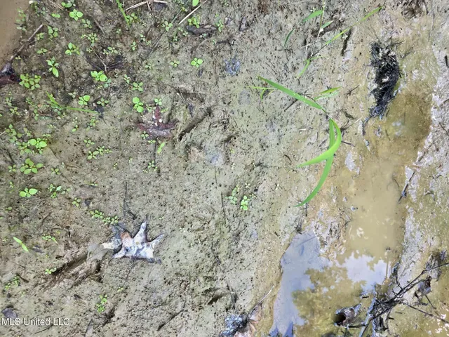 $1,299,000 | Phares Lane, Roxie, MS 39661