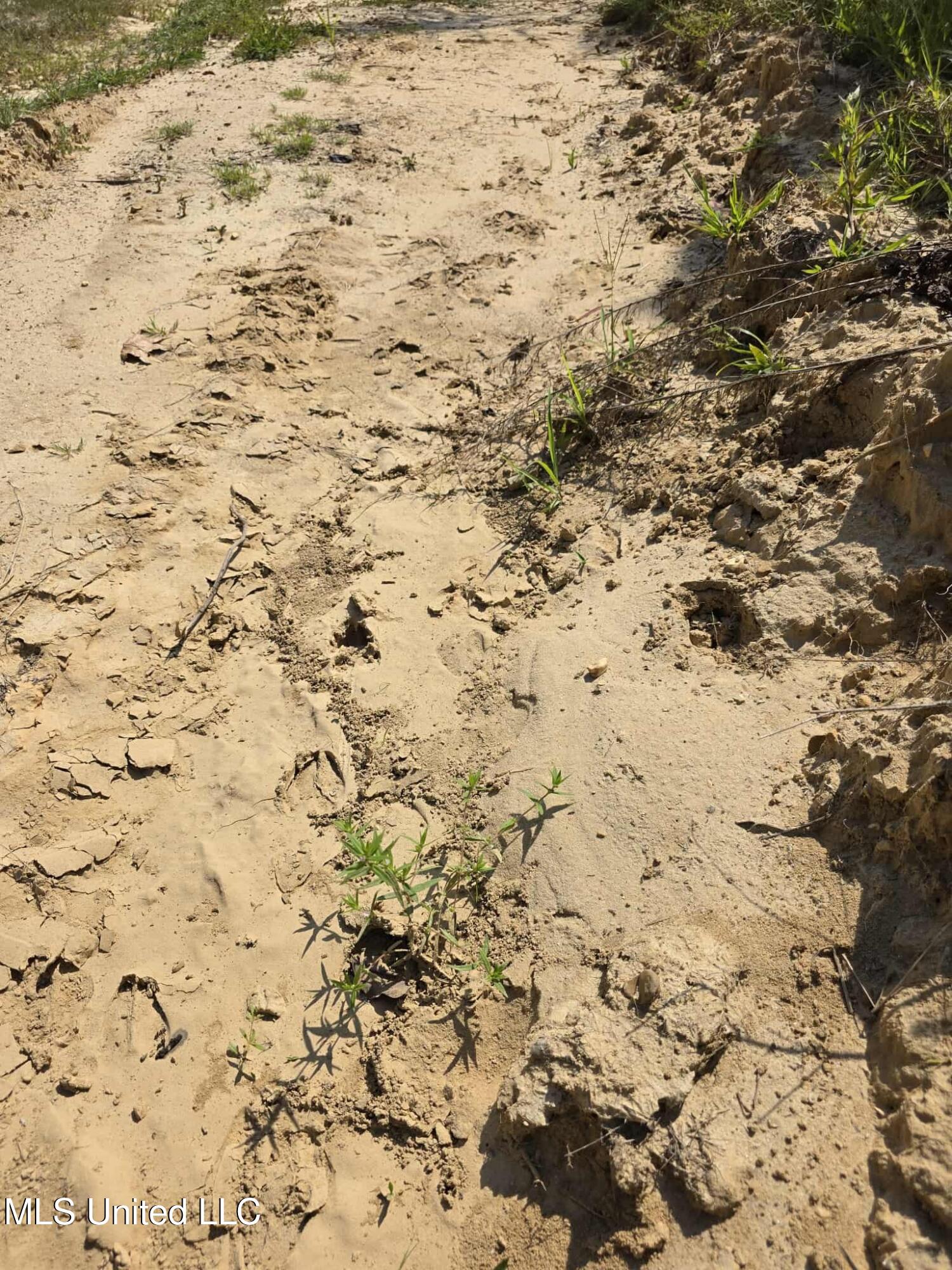 Phares Lane Roxie, MS 39661 - Photo 58 of 173 c6c8fa15-72a7-41d5-9c87-ddcf1194f130