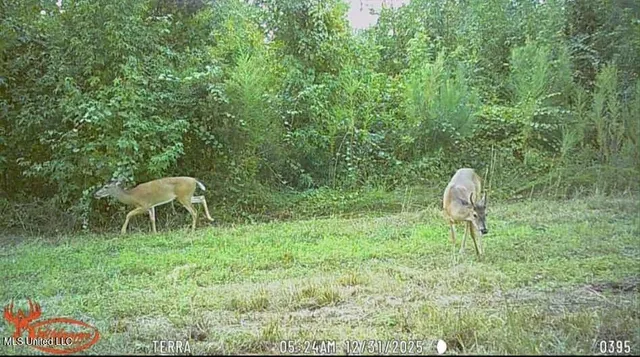 $1,299,000 | Phares Lane, Roxie, MS 39661