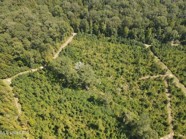 $1,299,000 | Phares Lane, Roxie, MS 39661