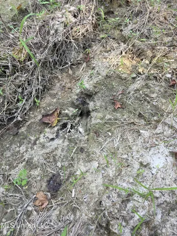 $1,299,000 | Phares Lane, Roxie, MS 39661