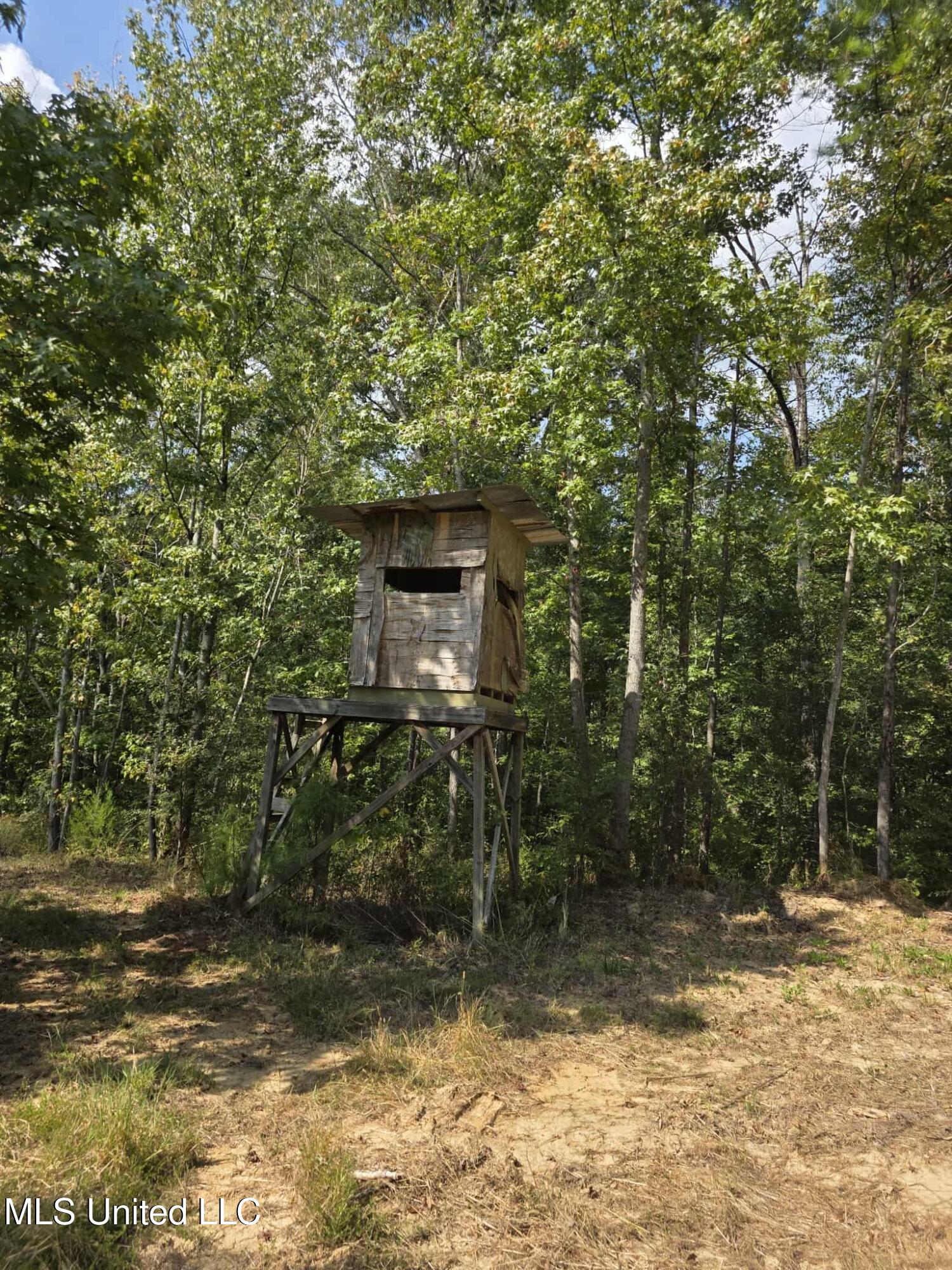 Phares Lane Roxie, MS 39661 - Photo 62 of 173 d0ed3196-31f3-4bf9-bd69-7d6c31f3187d