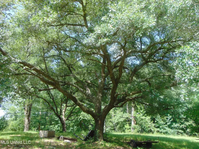 $1,299,000 | Phares Lane, Roxie, MS 39661