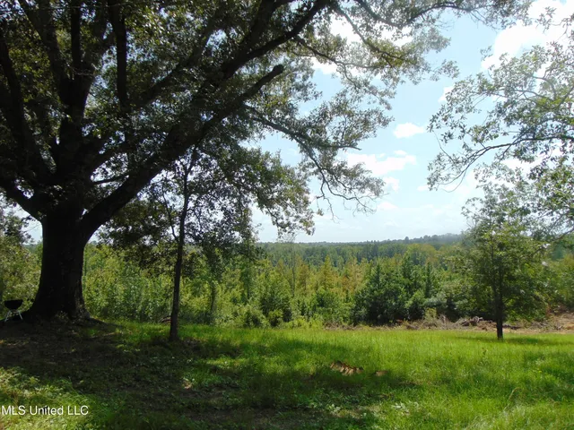 $1,299,000 | Phares Lane, Roxie, MS 39661