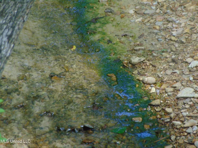 $1,299,000 | Phares Lane, Roxie, MS 39661