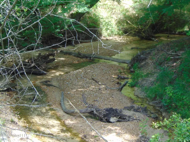 $1,299,000 | Phares Lane, Roxie, MS 39661