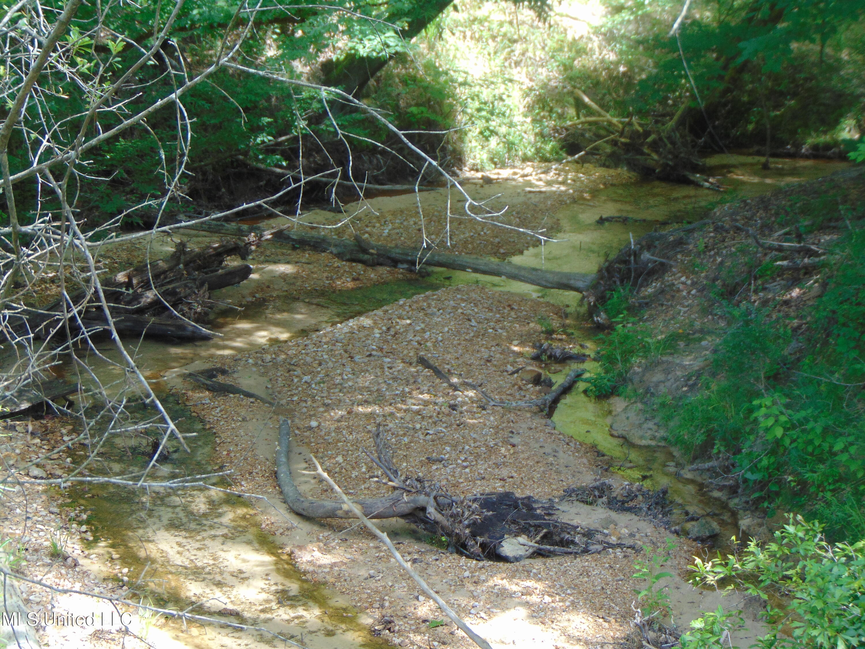 Phares Lane Roxie, MS 39661 - Photo 68 of 173 DSC05283