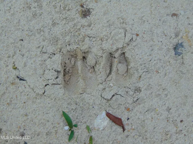 $1,299,000 | Phares Lane, Roxie, MS 39661