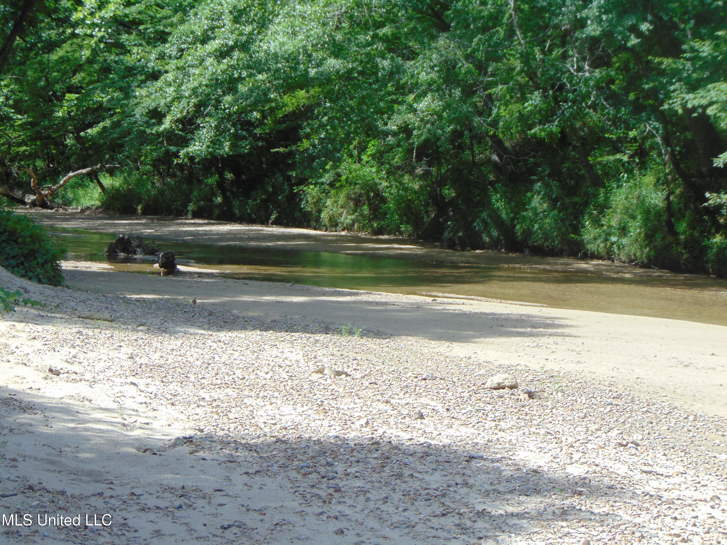 Phares Lane Roxie, MS 39661 - Photo 70 of 173 DSC05286